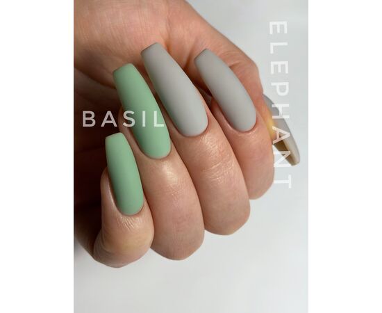 Basil_Elephant__784w-4p